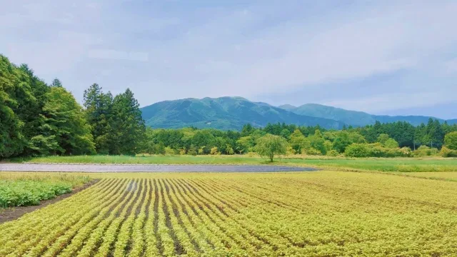 fudousan 24210865 s 116